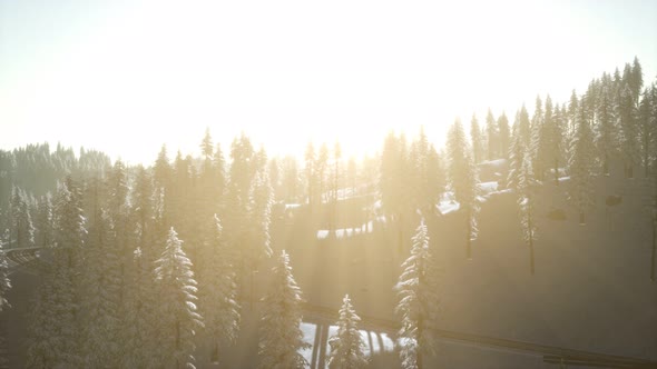 Aerial View of Forest During Cold Winter Morning