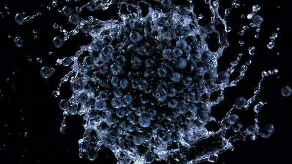 Super Slow Motion Shot of Rotating Exploded Blueberries with Splashing Water on Black at 1000Fps alt