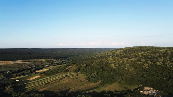 Spectacular View Green Forest