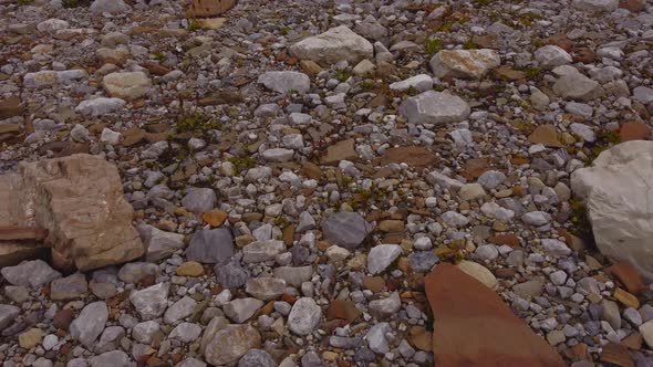 Rock step formation and glacier reveal