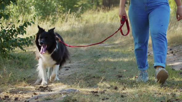 Young Plump Woman Walking with Her Dog on a Leash