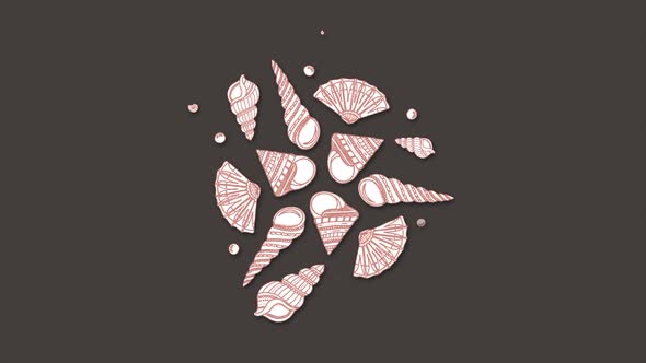 Creative seashell pattern on brown background