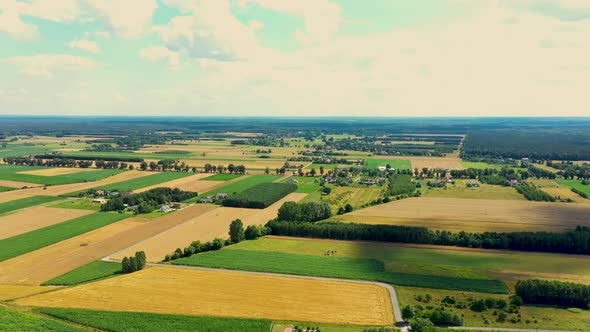 Green abstract image of diagonal lines from different crops in field in early summer, shoot from dro