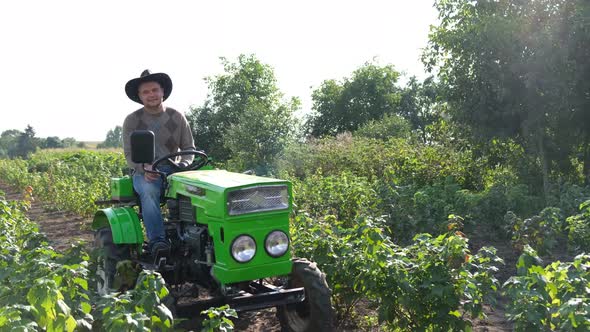 Farmer Works in the Field on a Green Mini Tractor