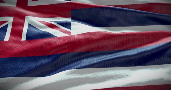 Hawaii waving flag 4K looped