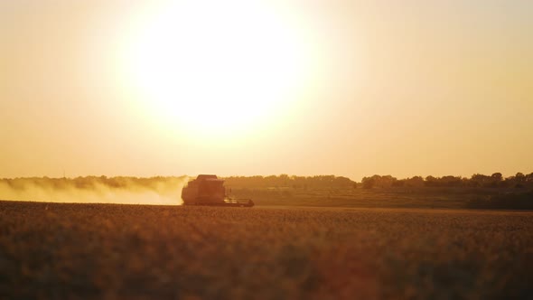 Wheat Harvest