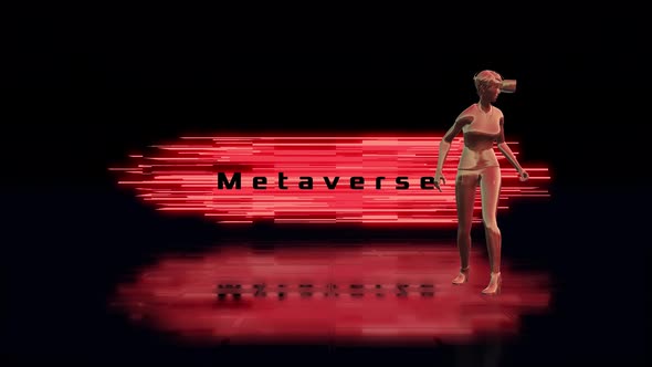 Metaverse 05