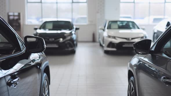 New and Used Cars are on Display for Sale and Rental in the Bright Showroom