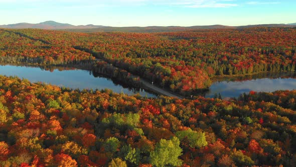 Aerial footage sliding right across a forest in autumn colors with two reflective ponds