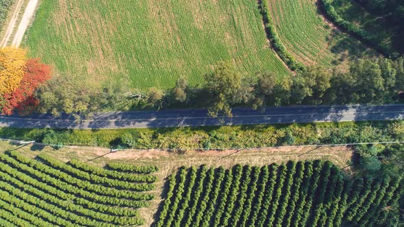 Rural landscape aerial view. Nature scenery