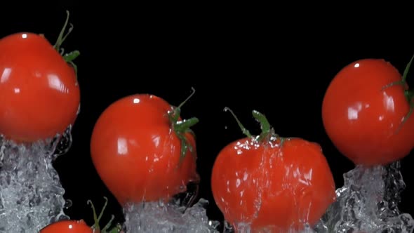 Small Tasty Cherry Tomatoes are Bouncing Up with the Splashes of Water