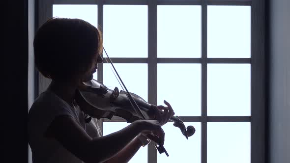 Girl Plays the Violin Against the Background of a Window. Silhouette