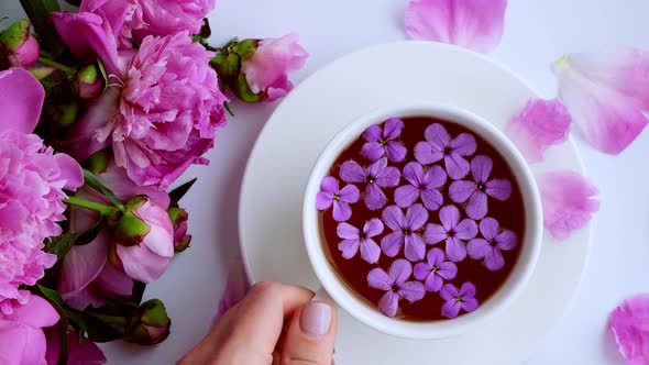 Creative Layout with Pink Peonies Flowers