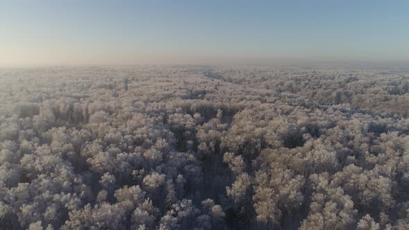 Winter Landscape in Countryside