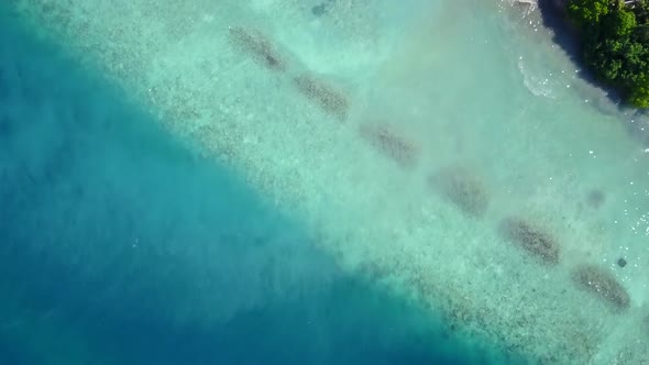 Aerial drone sky of coast beach wildlife by water with sand background