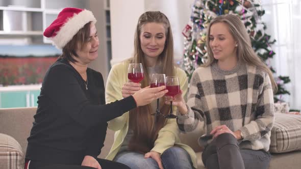 Three Cheerful Caucasian Female Friends Clinking Glasses with Red Wine and Talking. Portrait of