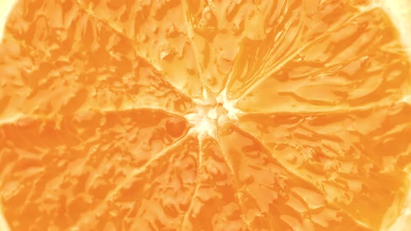Fresh Orange Circle Slice Texture Peel Summer Seasonal Detox Fruit Tropical Edible Plant Turn Up