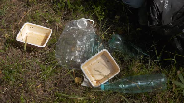 Volunteer Ecologist Young Woman Collecting Old Plastic Garbage in Forest, Picking Up Waste, Land