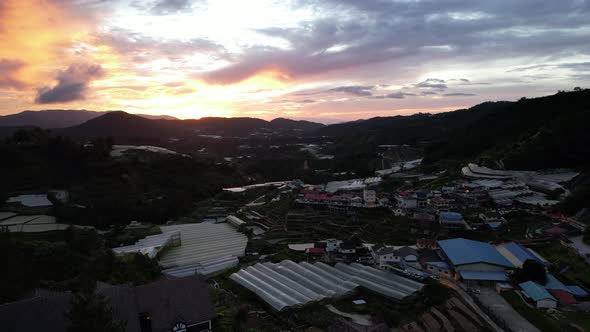 Cameron Highlands, Pahang Malaysia