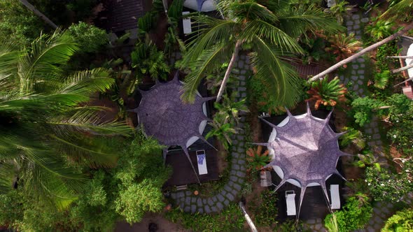 Aerial View of a Luxury Resort Between Coconut Trees in Tropical Forest