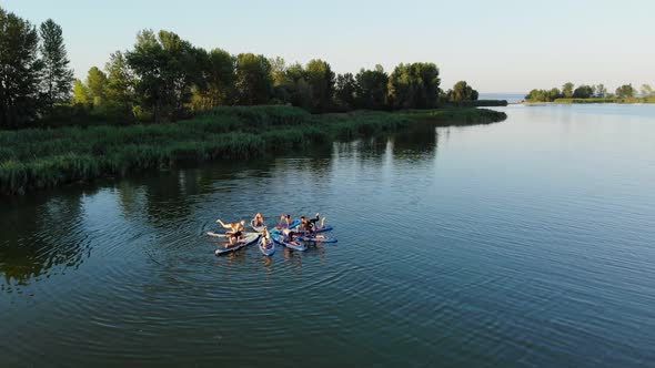 Aero. Group of Women Practicing SUP Yoga, They Balancing on Paddle Boards, on Water of Large River