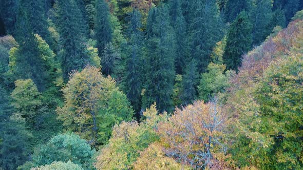 Aerial video of Klausenpass in Switzerland during fall