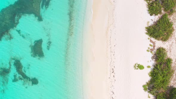 Aerial vertical format of Cenital Dominican beach with incredible turquoise sea