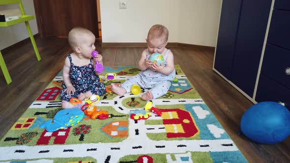 Two baby girls, playing with toys on the floor at home