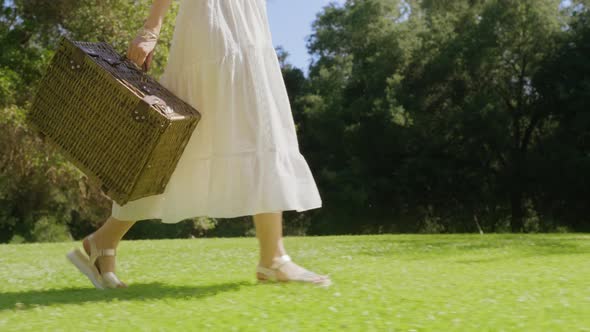 Closeup Woman Legs in Golden Sandals Walking By Green Grass Meadow on Summer Day