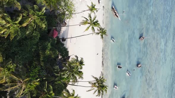 Vertical Video of the Coast of Zanzibar Island Tanzania Slow Motion