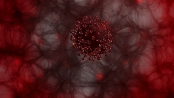 Corona Covid-19 Virus Atacks And Spreading in Human Body pack