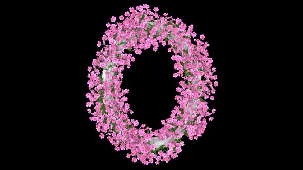 White Oval Floral Frame With Pink Blooming Flowers On Transparent Background Hd