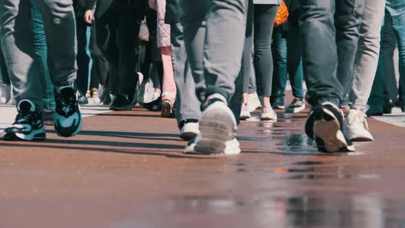 Legs of Crowd People Walking on the Street Closeup of People Feet Slow Motion