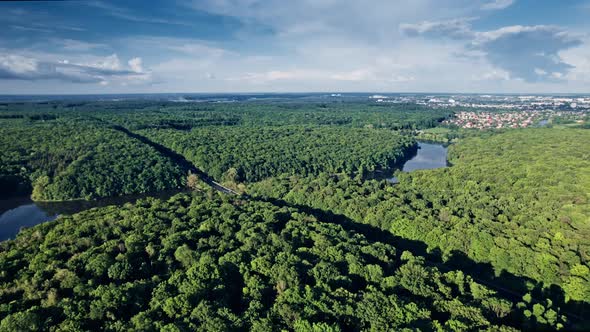 Aerial Flight Over Small Lake in the Forest