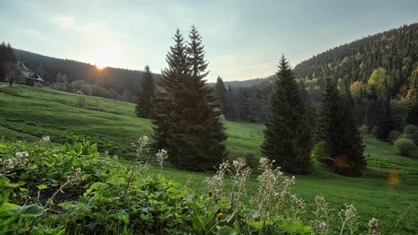  Sun shining through beautiful nature, time lapse, Czech nature