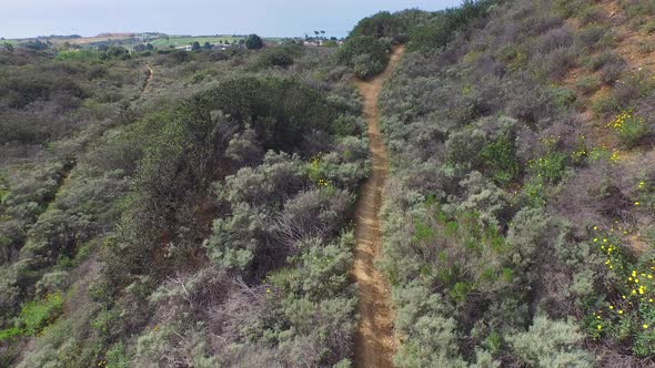 Aerial shot of a young man trail running on a scenic hiking trail