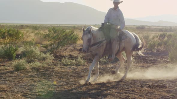 A horse ride cowboy