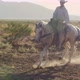 A horse ride cowboy - VideoHive Item for Sale