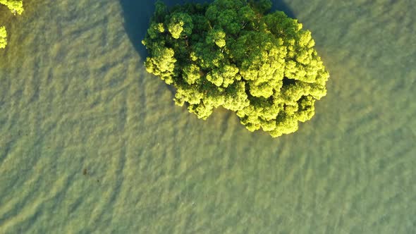 Aerial view of mangroves in Moreton Bay, Brisbane, Queensland, Australia.