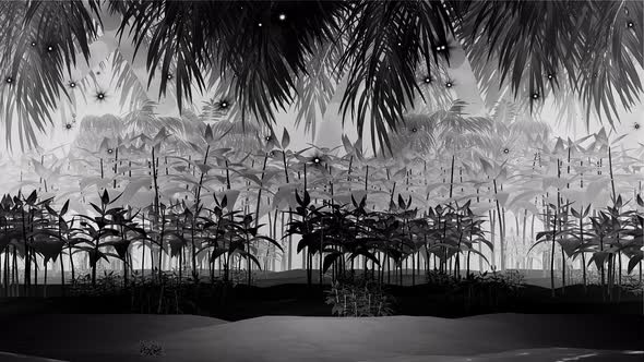 Strange Monochrome Magic Forest 4k