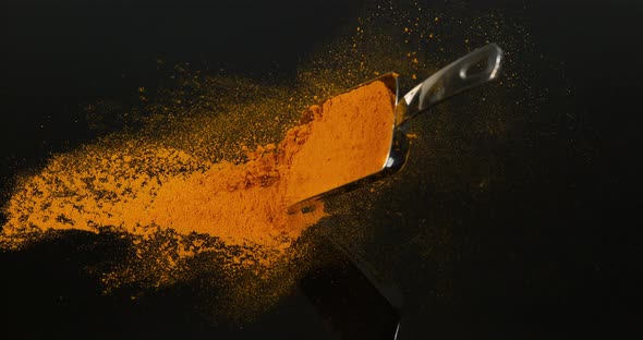 Turmeric, curcuma longa, Powder falling against Black Background, Indian Spice, Slow Motion 4K