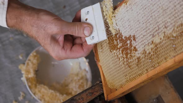 Scraper for the Honeycomb. Work with a Comb To Print Out a Honeycomb. Mature Honey.