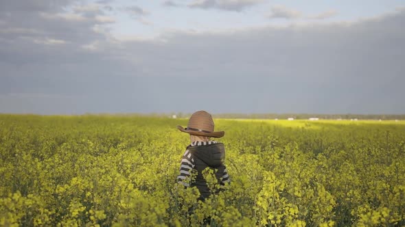 Boy Is Going Through Yellow Field of Rapeseed