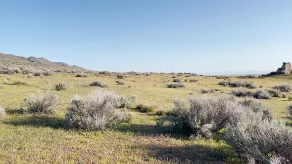 Peaceful tranquil landscape and nature near the Great Salt Lake in Northern Utah, panning shot.