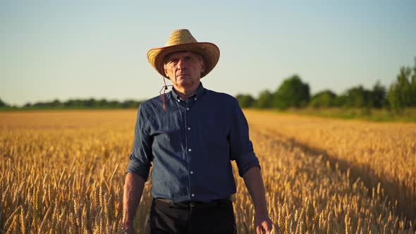 Portrait of old farmer at sunset. Agriculturist man in straw hat walks along the agricultural field 