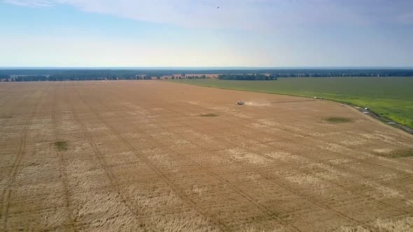 Aerial View Gold Wheat Field and Operating Harvester