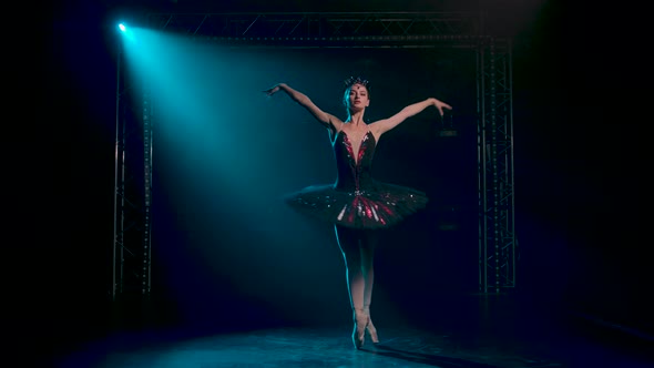 Graceful Ballerina in a Chic Image of a Black Swan. Classical Ballet Choreography. Shot in a Dark