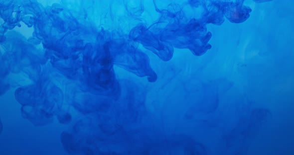 Blue Color Paint Ink Drops in Water at White Background. Inky Cloud Flowing Underwater. Abstract