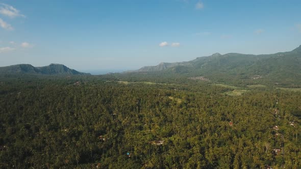 Mountain Landscape Farmlands Village Bali Indonesia