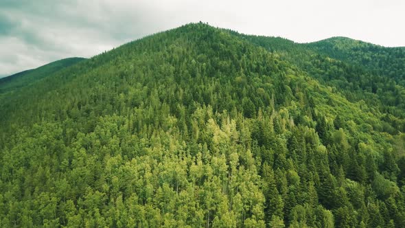 Drone flight over the Ukrainian Carpathians in summer. Fascinating landscapes in the mountains. Immo